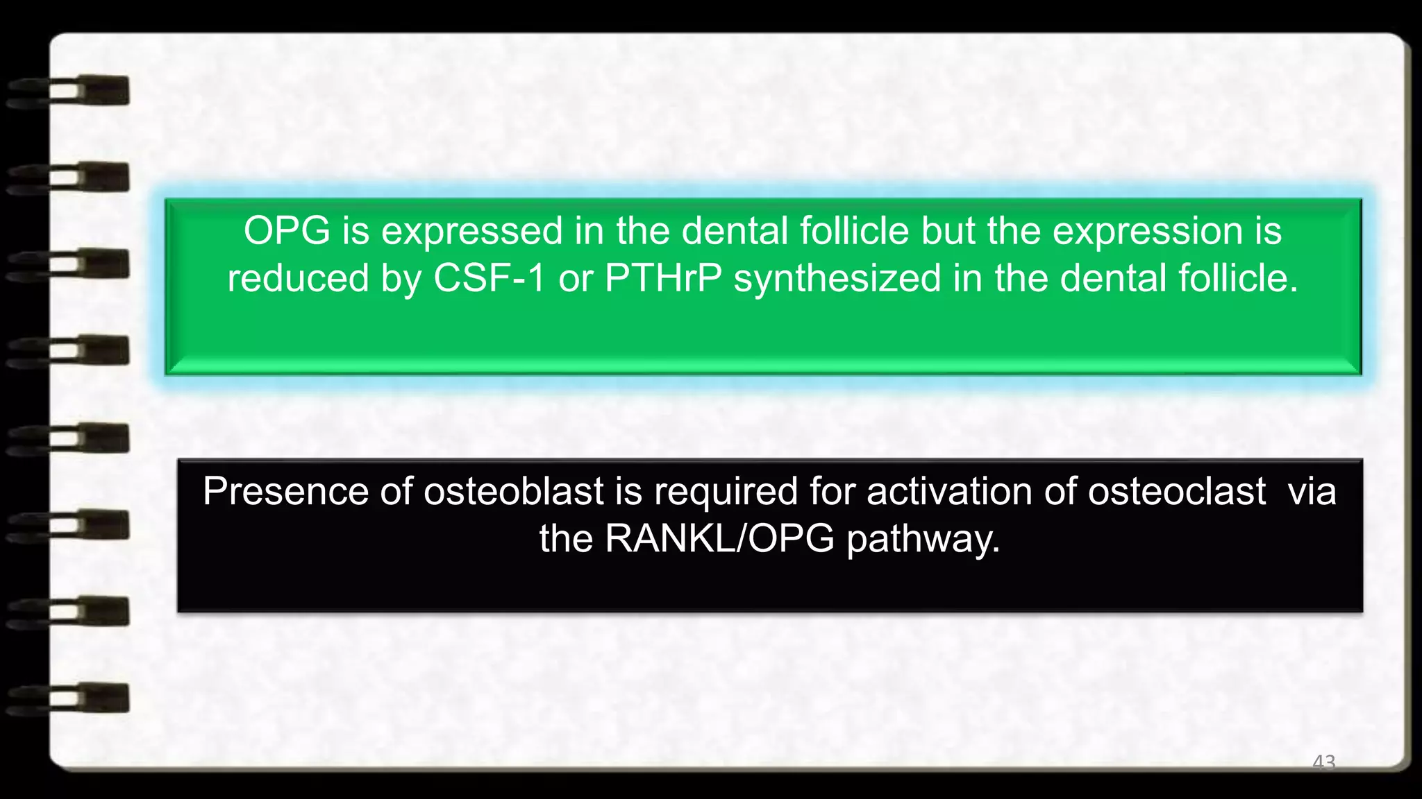 Theories and mechanism of eruption of primary and | PPTX