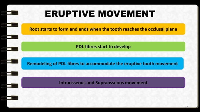 Theories and mechanism of eruption of primary and | PPTX