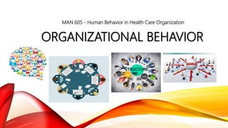 ORGANIZATIONAL BEHAVIOR
MAN 605 - Human Behavior in Health Care Organization
 