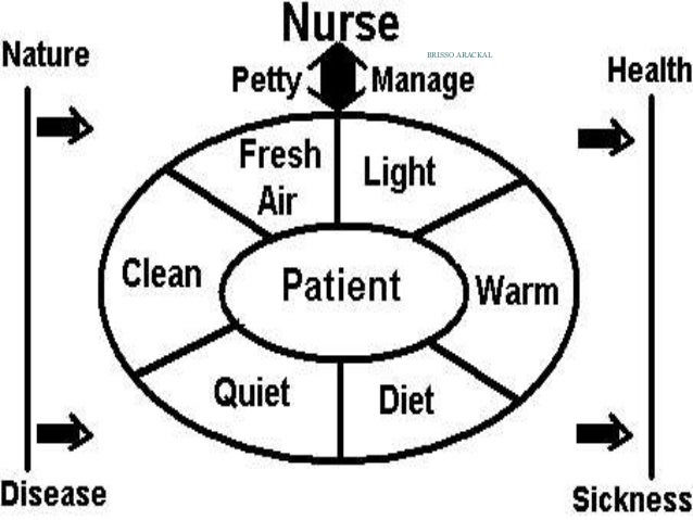 florence nightingale environmental theory and contributions to nursing essay Order a perfect essay - florence nightingale: environmental and should be evaluated according to its contribution nightingale’s nursing environmental theory. florence nightingale environmental theory and contributions to nursing essay Order a perfect essay - florence nightingale: environmental and should be evaluated according to its contribution nightingale’s nursing environmental theory.