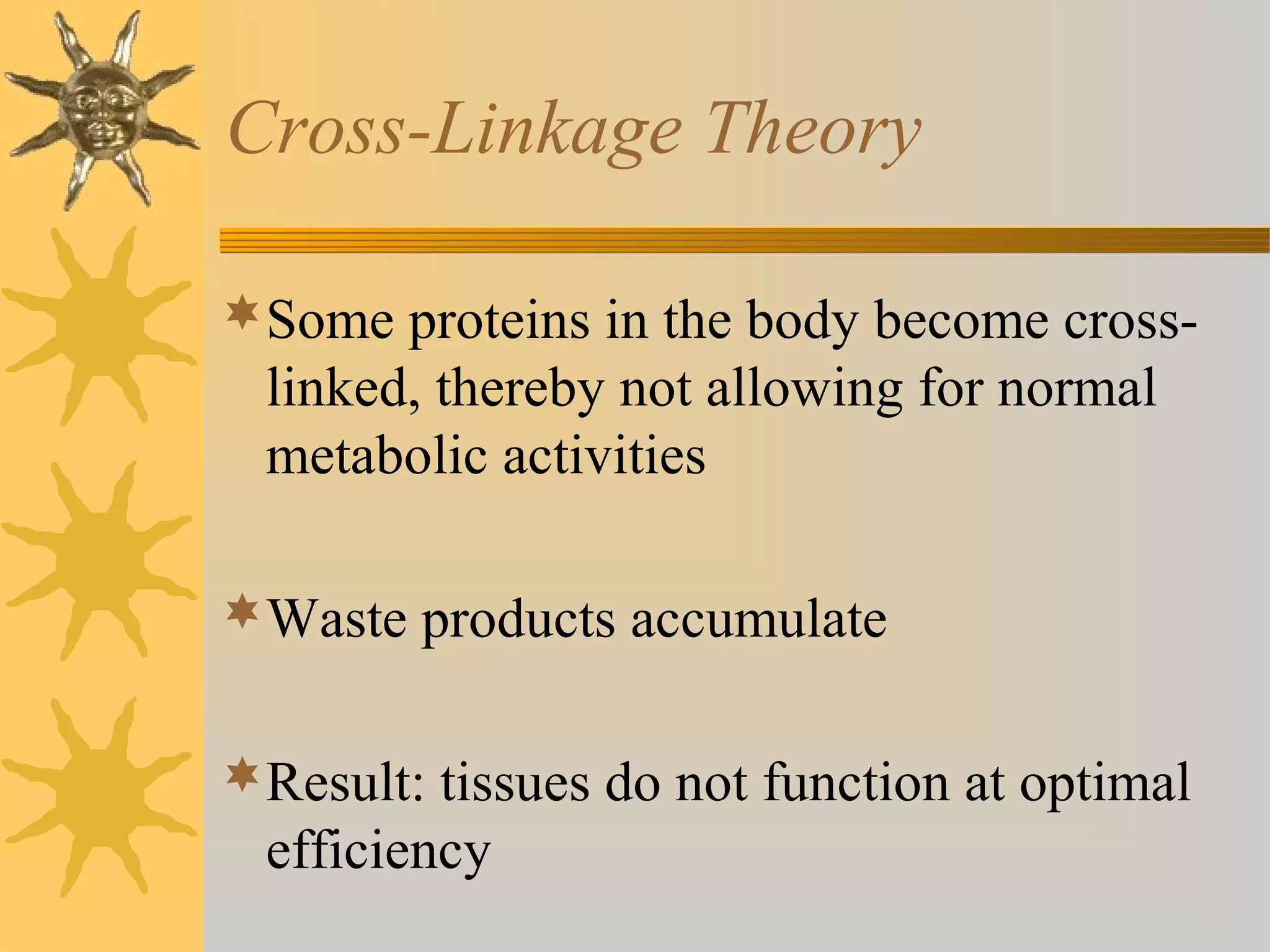 Cross-Linkage Theory
Some proteins in the body become cross-
linked, thereby not allowing for normal
metabolic activities
Waste products accumulate
Result: tissues do not function at optimal
efficiency
 