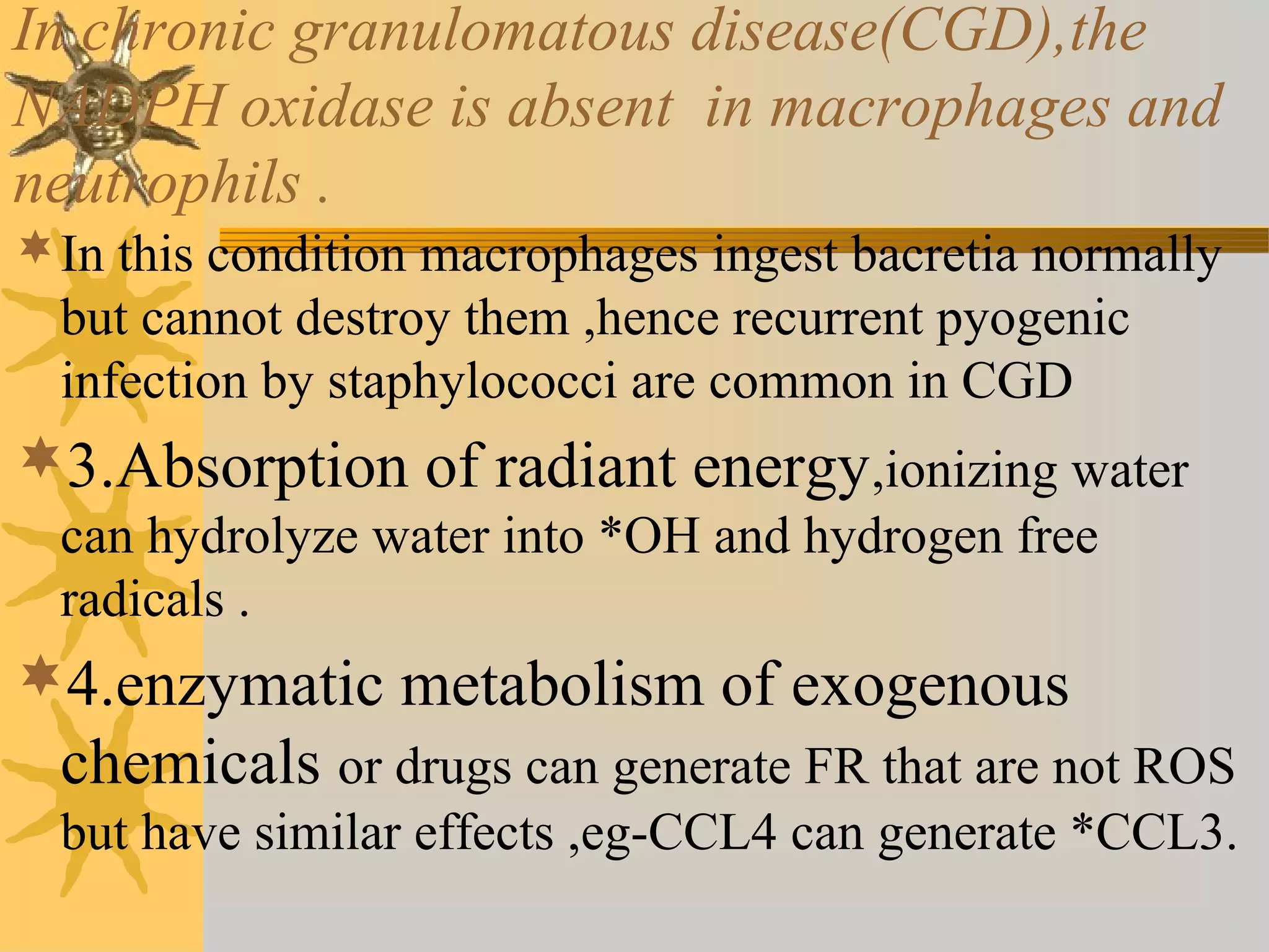 In chronic granulomatous disease(CGD),the
NADPH oxidase is absent in macrophages and
neutrophils .
In this condition macrophages ingest bacretia normally
but cannot destroy them ,hence recurrent pyogenic
infection by staphylococci are common in CGD
3.Absorption of radiant energy,ionizing water
can hydrolyze water into *OH and hydrogen free
radicals .
4.enzymatic metabolism of exogenous
chemicals or drugs can generate FR that are not ROS
but have similar effects ,eg-CCL4 can generate *CCL3.
 
