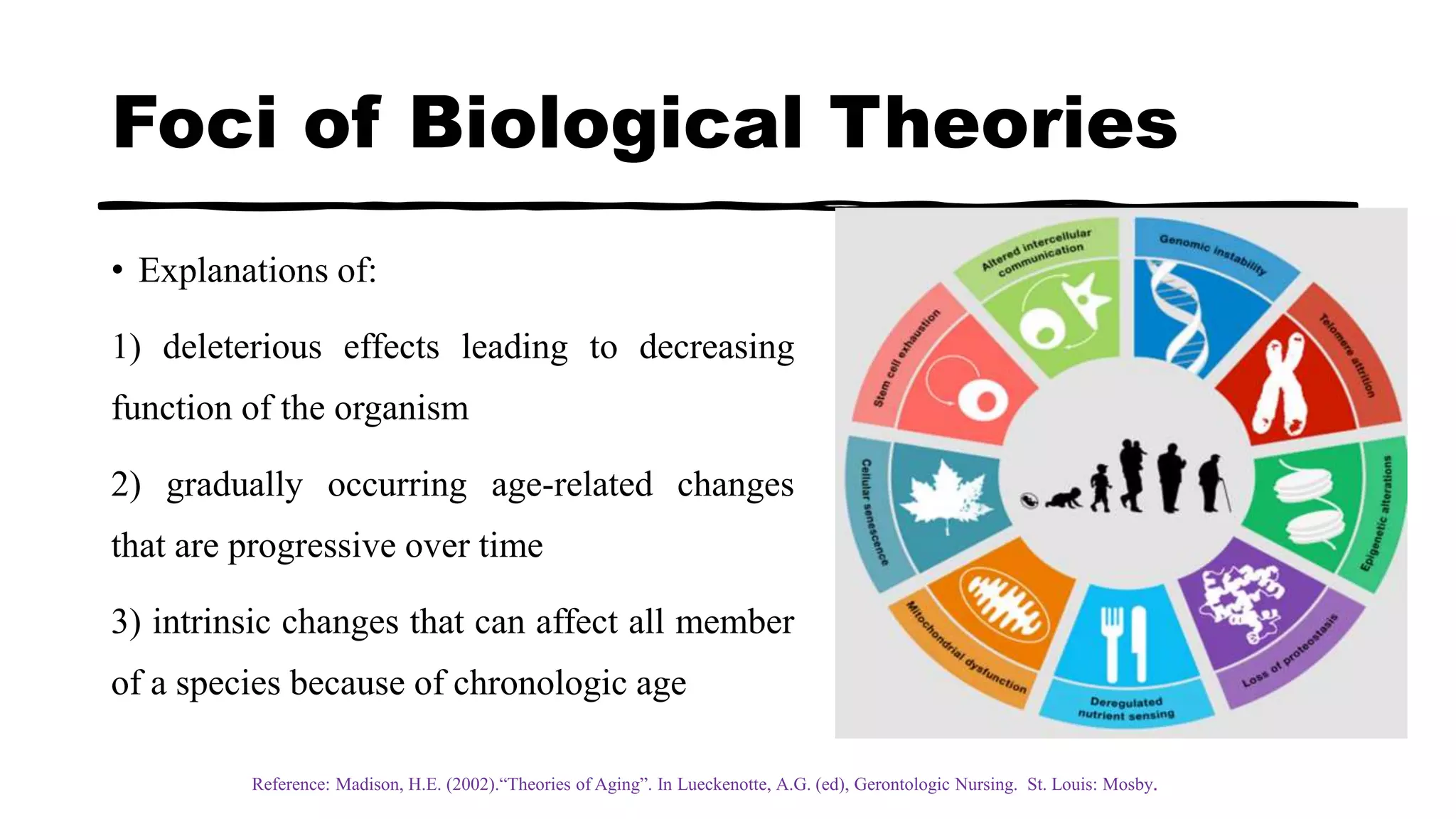 Theories of aging | PPTX