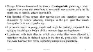  George Williams formulated the theory of antagonistic pleiotropy which
suggests that genes that contribute to successful reproduction early in life
might lead to harmful effects later in life.
 The harmful effects appear after reproduction and therefore cannot be
eliminated by natural selection. Example is the p53 gene that directs
damaged cells to stop reproducing.
 It prevents cancer in young people and might be partially responsible for
aging by impairing the body’s ability to renew degenerating tissues.
 Experiment with fruit flies in which only older flies were allowed to
reproduce resulted in delayed aging in the fruit fly population. The older
flies were however less fertile supporting antagonistic pleiotropy.
3/27/2023 Akal L. Morris 16
 