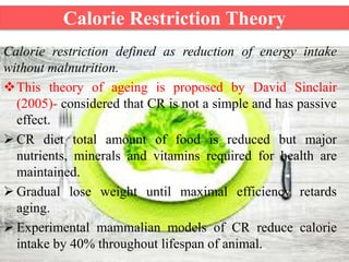 theories of aging, programmed and error theories | PPTX