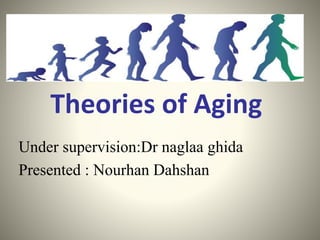 Theories of Aging
Under supervision:Dr naglaa ghida
Presented : Nourhan Dahshan
 