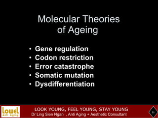 Molecular Theories of Ageing <ul><li>Gene regulation </li></ul><ul><li>Codon restriction </li></ul><ul><li>Error catastrop...
