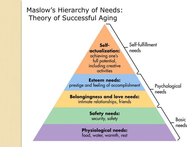 Theories of aging s14