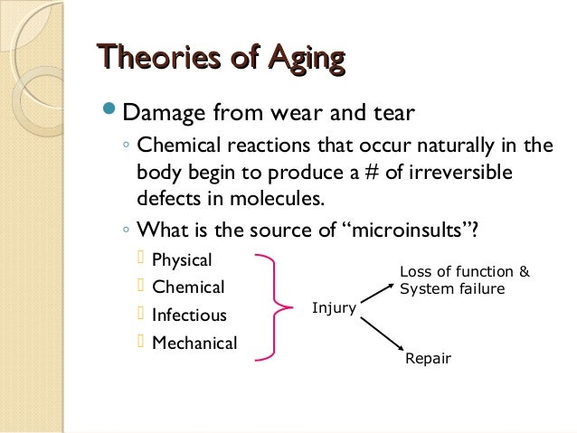 activity theory of aging example activity theory of aging example