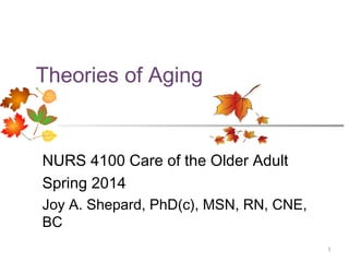 Theories of Aging

NURS 4100 Care of the Older Adult
Spring 2014
Joy A. Shepard, PhD(c), MSN, RN, CNE,
BC
1

 