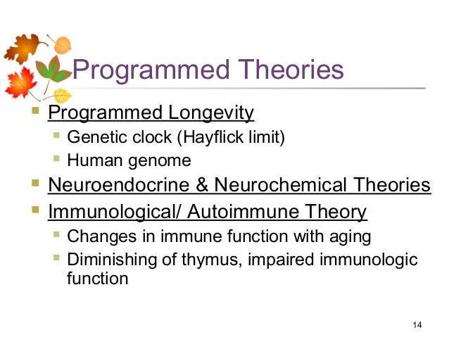 biological theories of aging Psychology definition of biological theory of aging: the many explanations that make up how we age. biological theories of aging Psychology definition of biological theory of aging: the many explanations that make up how we age.