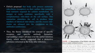 • Ehrlich proposed that body cells possess numerous
side-chains (receptors) on their surface that normally
bind nutrients required for cellular metabolism. An
antigen or toxin combines specifically with a
complementary side-chain on the cell surface. This
interaction stimulates the cell to produce large
numbers of identical side-chains, and the excess side-
chains are released into the circulation as free
antibodies (antitoxins).
• Thus, the theory introduced the concept of specific
receptors and specific antibody formation,
representing a major advance over the earlier retention
theory, which merely suggested that a protective
substance remained in the body after infection.
 