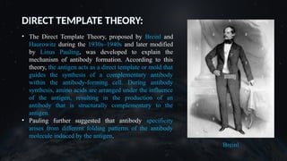 DIRECT TEMPLATE THEORY:
• The Direct Template Theory, proposed by Breinl and
Haurowitz during the 1930s–1940s and later modified
by Linus Pauling, was developed to explain the
mechanism of antibody formation. According to this
theory, the antigen acts as a direct template or mold that
guides the synthesis of a complementary antibody
within the antibody-forming cell. During antibody
synthesis, amino acids are arranged under the influence
of the antigen, resulting in the production of an
antibody that is structurally complementary to the
antigen.
• Pauling further suggested that antibody specificity
arises from different folding patterns of the antibody
molecule induced by the antigen.
 