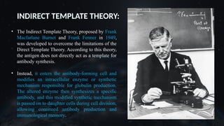 INDIRECT TEMPLATE THEORY:
• The Indirect Template Theory, proposed by Frank
Macfarlane Burnet and Frank Fenner in 1949,
was developed to overcome the limitations of the
Direct Template Theory. According to this theory,
the antigen does not directly act as a template for
antibody synthesis.
• Instead, it enters the antibody-forming cell and
modifies an intracellular enzyme or synthetic
mechanism responsible for globulin production.
The altered enzyme then synthesizes a specific
antibody, and this modified synthetic mechanism
is passed on to daughter cells during cell division,
allowing continued antibody production and
immunological memory.
 