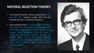 NATURAL SELECTION THEORY:
• The Natural Selection Theory, proposed by Niels
Jerne in 1955, marked a major shift from the
template theories of antibody formation.
• Jerne proposed that the body already contains a
large repertoire of naturally occurring antibodies
with different specificities before exposure to an
antigen. When an antigen enters the body, it
selects the pre-existing antibody that has the
highest affinity for it. The antigen–antibody
complex is then taken up by antibody-producing
cells, which synthesize large amounts of the
selected antibody.
 