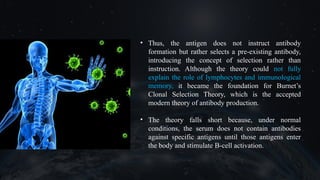 • Thus, the antigen does not instruct antibody
formation but rather selects a pre-existing antibody,
introducing the concept of selection rather than
instruction. Although the theory could not fully
explain the role of lymphocytes and immunological
memory, it became the foundation for Burnet’s
Clonal Selection Theory, which is the accepted
modern theory of antibody production.
• The theory falls short because, under normal
conditions, the serum does not contain antibodies
against specific antigens until those antigens enter
the body and stimulate B-cell activation.
 