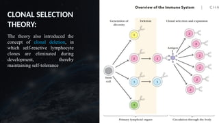 CLONAL SELECTION
THEORY:
The theory also introduced the
concept of clonal deletion, in
which self-reactive lymphocyte
clones are eliminated during
development, thereby
maintaining self-tolerance
 