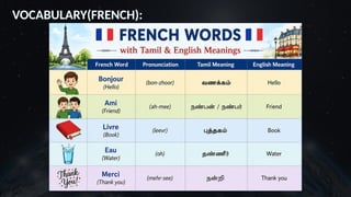 VOCABULARY(FRENCH):
 