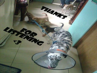 Theories of art development