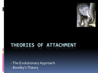 THEORIES OF ATTACHMENT
-The Evolutionary Approach
- Bowlby’sTheory
 