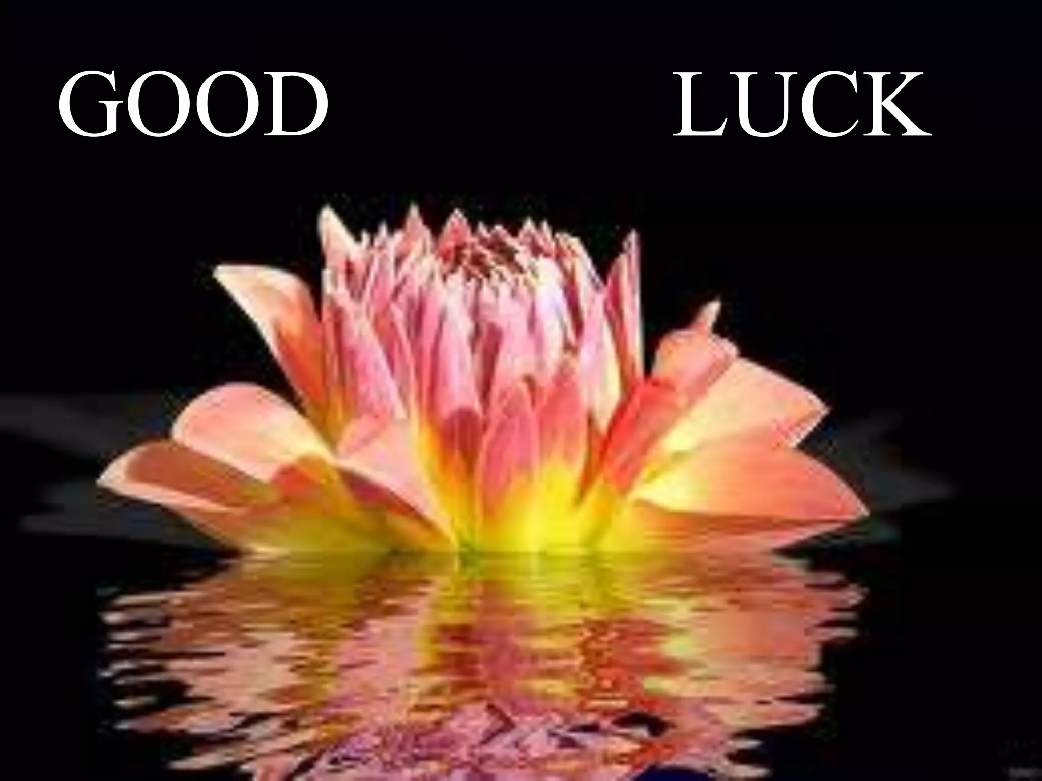 GOOD LUCK
 