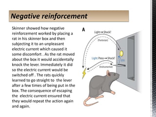 Negative reinforcement
Skinner showed how negative
reinforcement worked by placing a
rat in his skinner box and then
subjecting it to an unpleasant
electric current which caused it
some discomfort . As the rat moved
about the box it would accidentally
knock the lever. Immediately it did
so the electric current would be
switched off . The rats quickly
learned to go straight to the lever
after a few times of being put in the
box. The consequence of escaping
the electric current ensured that
they would repeat the action again
and again.
 
