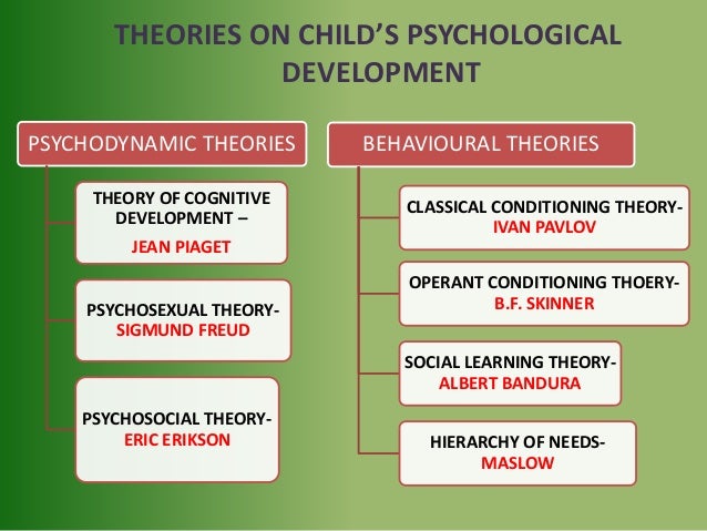 Theories Of Moral Psychology