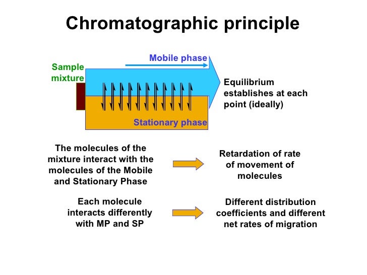 Chromatographic Theory and Basic Principles