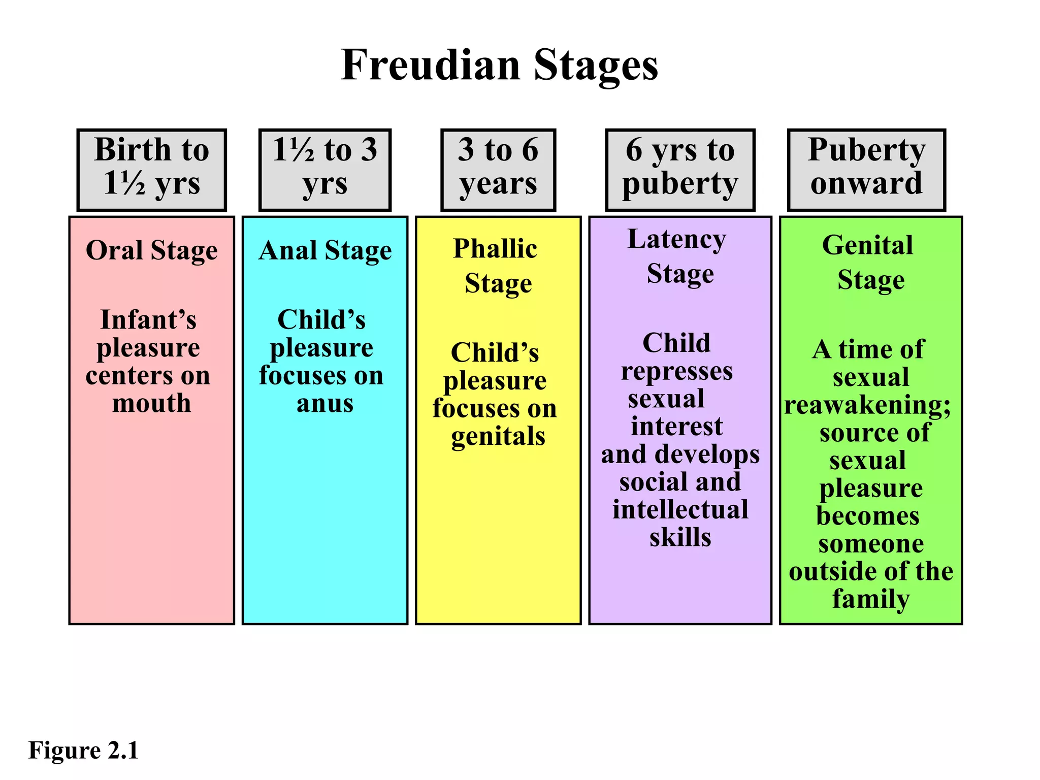 Phallic
Stage
Child’s
pleasure
focuses on
genitals
Figure 2.1
Latency
Stage
Child
represses
sexual
interest
and develops
social and
intellectual
skills
Anal Stage
Child’s
pleasure
focuses on
anus
Genital
Stage
A time of
sexual
reawakening;
source of
sexual
pleasure
becomes
someone
outside of the
family
Oral Stage
Infant’s
pleasure
centers on
mouth
Freudian Stages
6 yrs to
puberty
Birth to
1½ yrs
1½ to 3
yrs
Puberty
onward
3 to 6
years
 