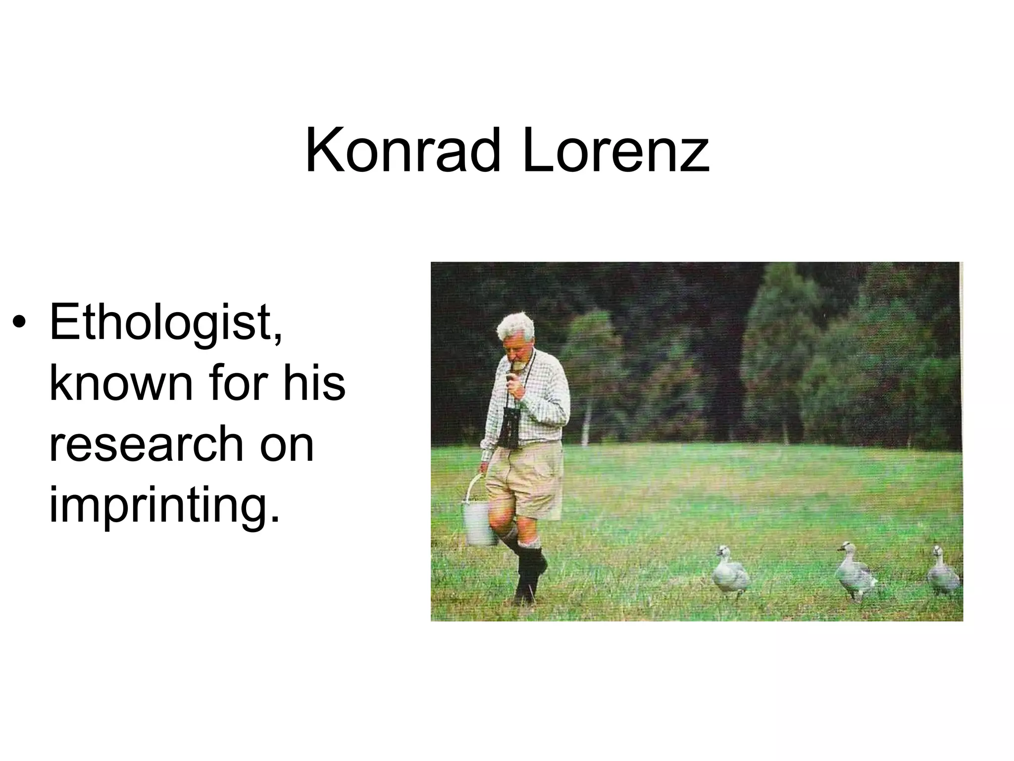 Konrad Lorenz
• Ethologist,
known for his
research on
imprinting.
 