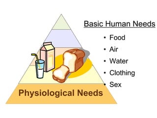 Physiological Needs
• Food
• Air
• Water
• Clothing
• Sex
Basic Human Needs
 