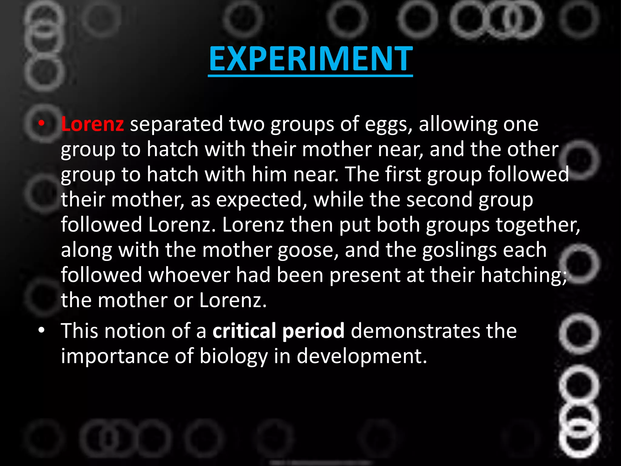 EXPERIMENT
• Lorenz separated two groups of eggs, allowing one
group to hatch with their mother near, and the other
group to hatch with him near. The first group followed
their mother, as expected, while the second group
followed Lorenz. Lorenz then put both groups together,
along with the mother goose, and the goslings each
followed whoever had been present at their hatching;
the mother or Lorenz.
• This notion of a critical period demonstrates the
importance of biology in development.
 
