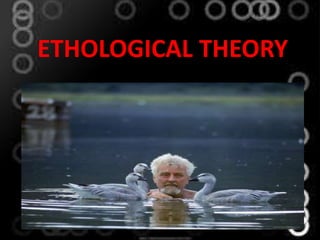 ETHOLOGICAL THEORY
 