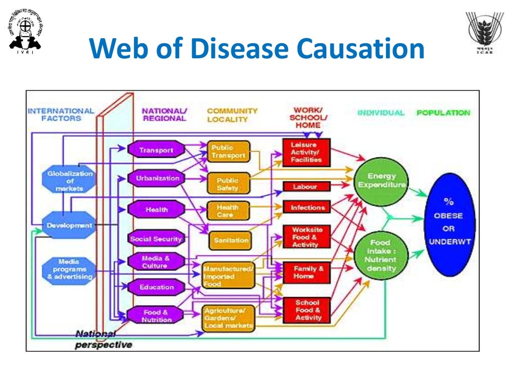 what are the theories of disease causation