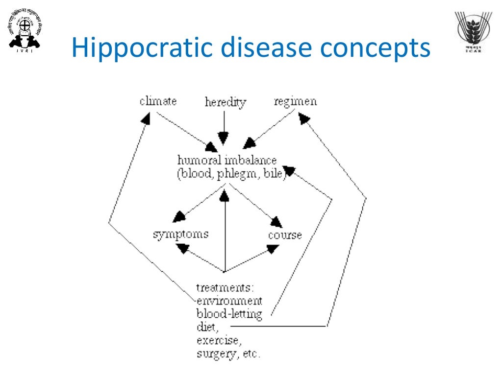 explain the theories of disease causation explain the theories of disease causation