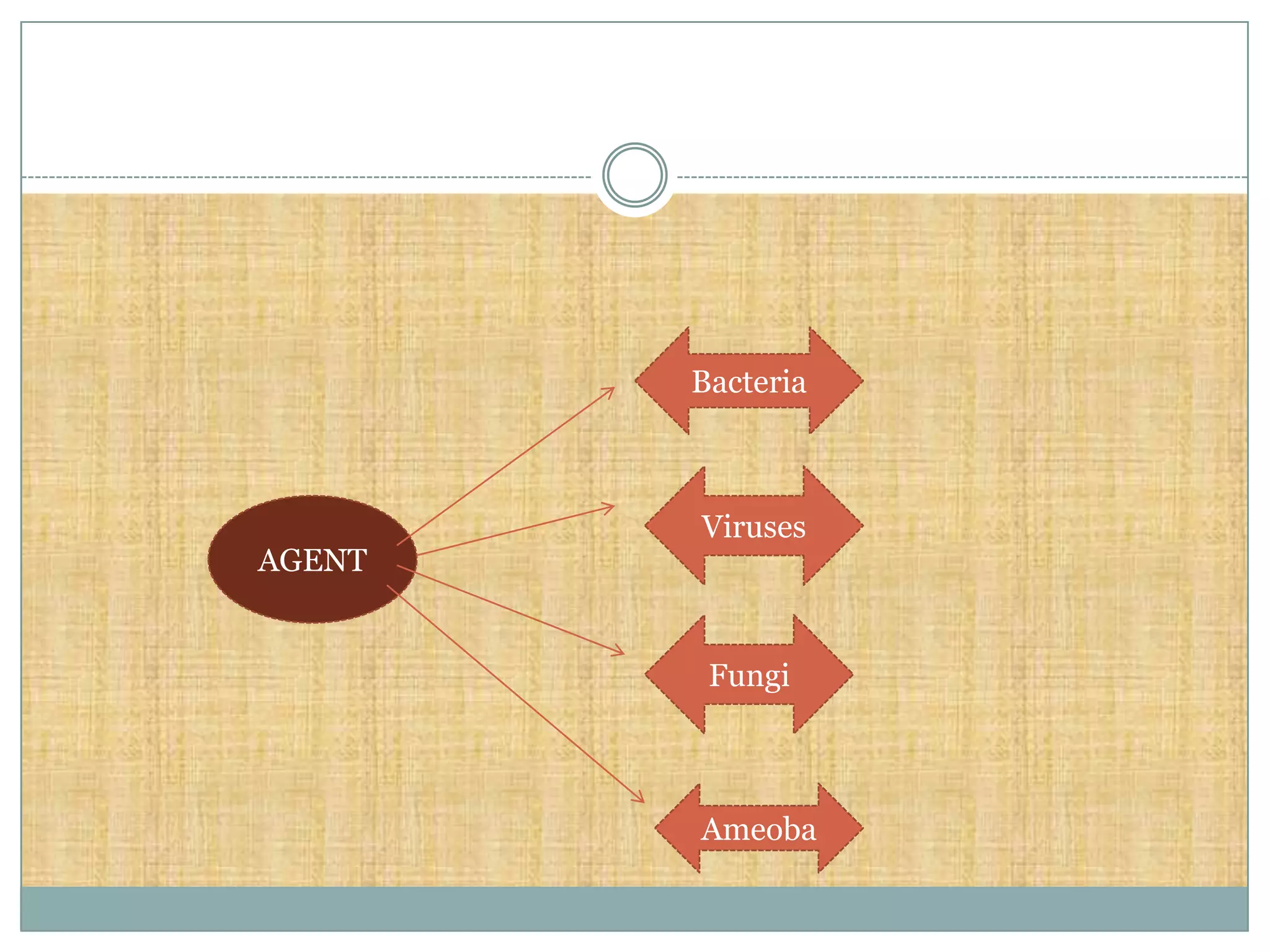 Bacteria



        Viruses
AGENT


         Fungi



        Ameoba
 