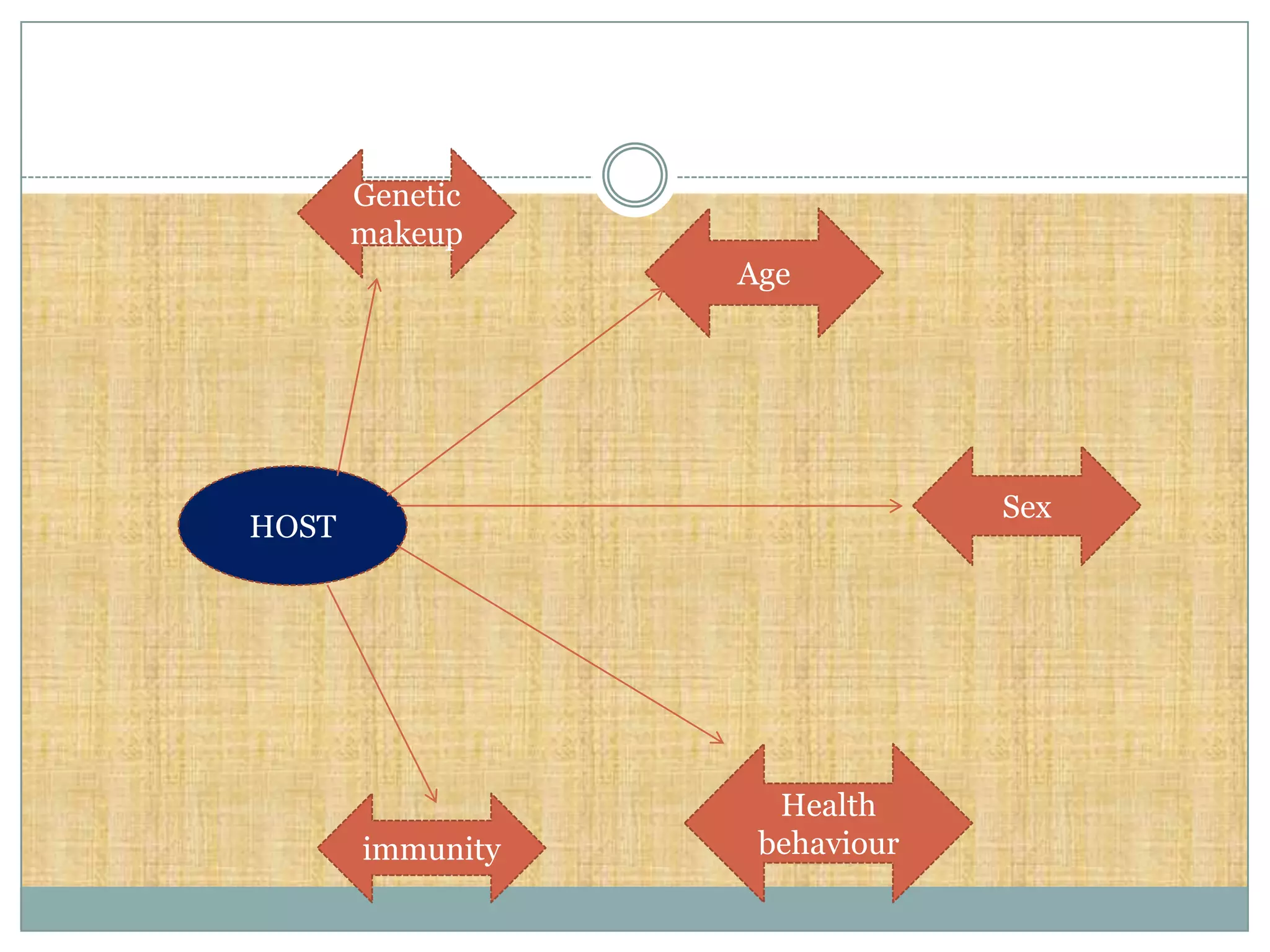 Genetic
       makeup
                  Age




                               Sex
HOST




                    Health
       immunity    behaviour
 