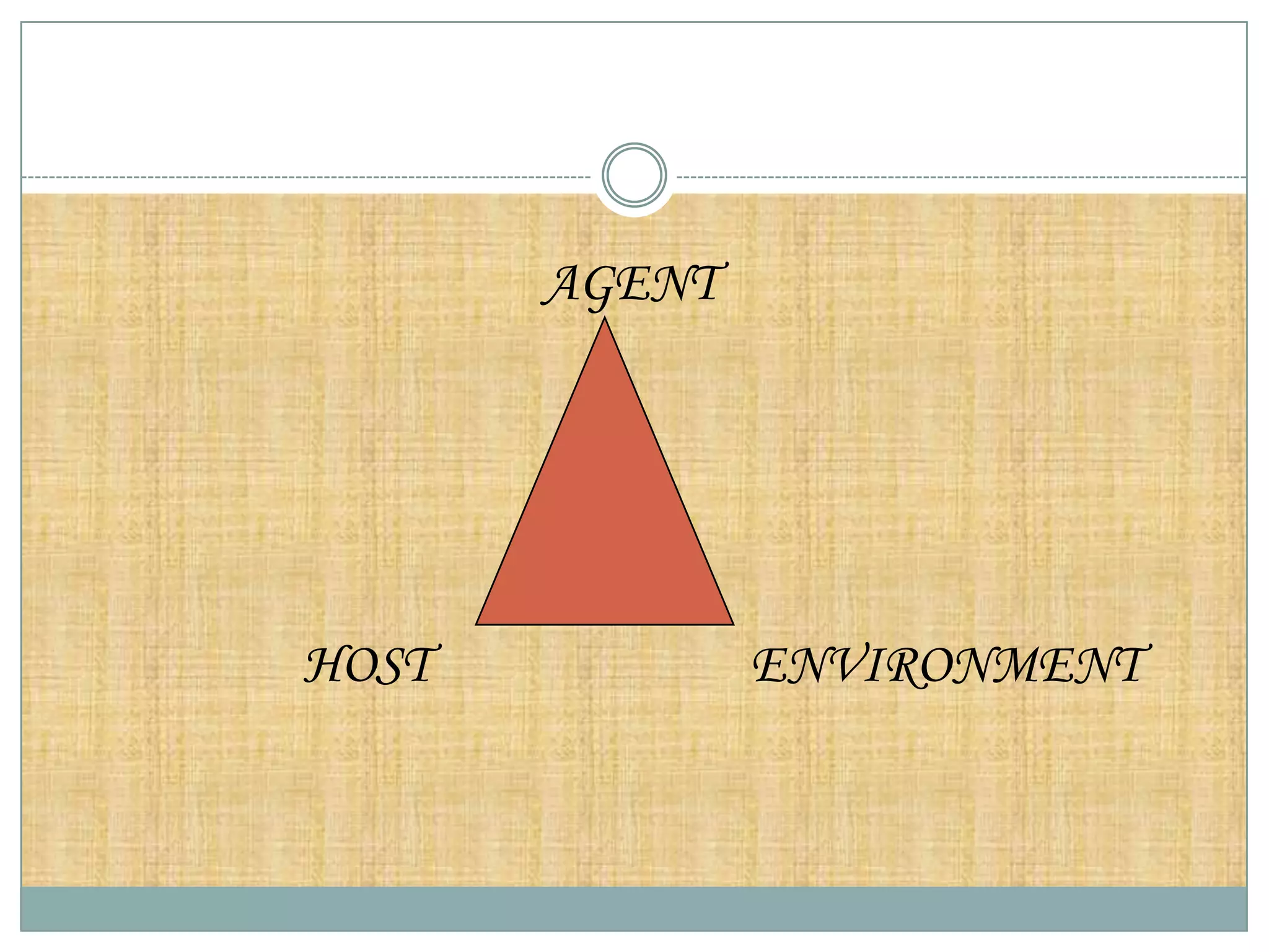AGENT




HOST           ENVIRONMENT
 