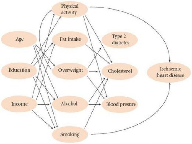 what is web of causation of disease