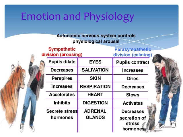 Theories Of Emotion Chart