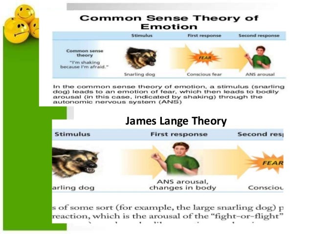 theories of emotion theories of emotion