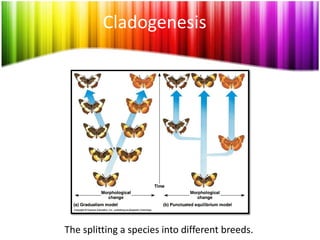 Evolutionary Biologist
