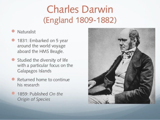 darwins contribution to evolution
