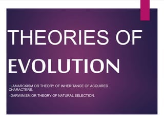 THEORIES OF
EVOLUTION
LAMARCKISM OR THEORY OF INHERITANCE OF ACQUIRED
CHARACTERS.
DARWINISM OR THEORY OF NATURAL SELECTION.
 