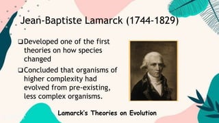 Jean-Baptiste Lamarck (1744-1829)
Developed one of the first
theories on how species
changed
Concluded that organisms of
higher complexity had
evolved from pre-existing,
less complex organisms.
Lamarck’s Theories on Evolution
 
