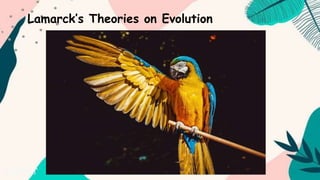Lamarck’s Theories on Evolution
 
