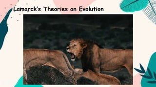 Lamarck’s Theories on Evolution
 