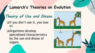 Lamarck’s Theories on Evolution
If you don’t use it, you lose
it!
Organisms develop
specialized characteristics
by the use and disuse of
organs
Theory of Use and Disuse
 