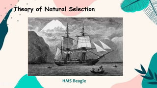 Theory of Natural Selection
HMS Beagle
 