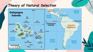 Theory of Natural Selection
 